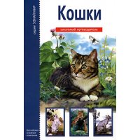 Кошки АВК Детские книги 
