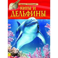 Киты и дельфины Росмэн Детские книги 