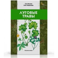 Луговые травы Русское слово Учебники и учебные пособия 