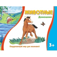 Домашние животные Адонис Детские книги 