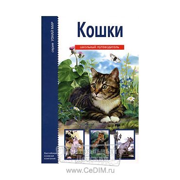 Кошки  АВК 