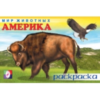 Америка Фламинго Раскраски 