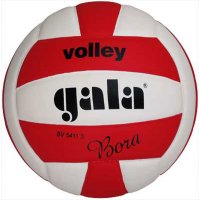 Мяч волейбольный Bora Gala Спорт в зале 