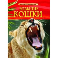 Большие кошки Росмэн Детские книги 