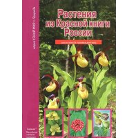 Растения из Красной книги России АВК Детские энциклопедии и справочники 