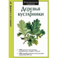 Деревья и кустарники Оникс Познавательные книги 